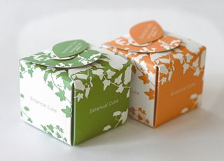 22.2.2 Botanical Cube 5